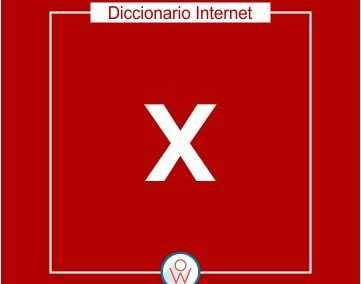 Diccionario Internet X